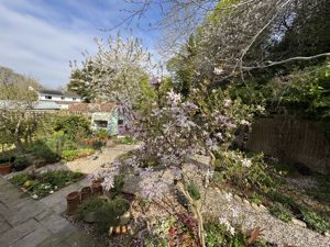 Garden - click for photo gallery